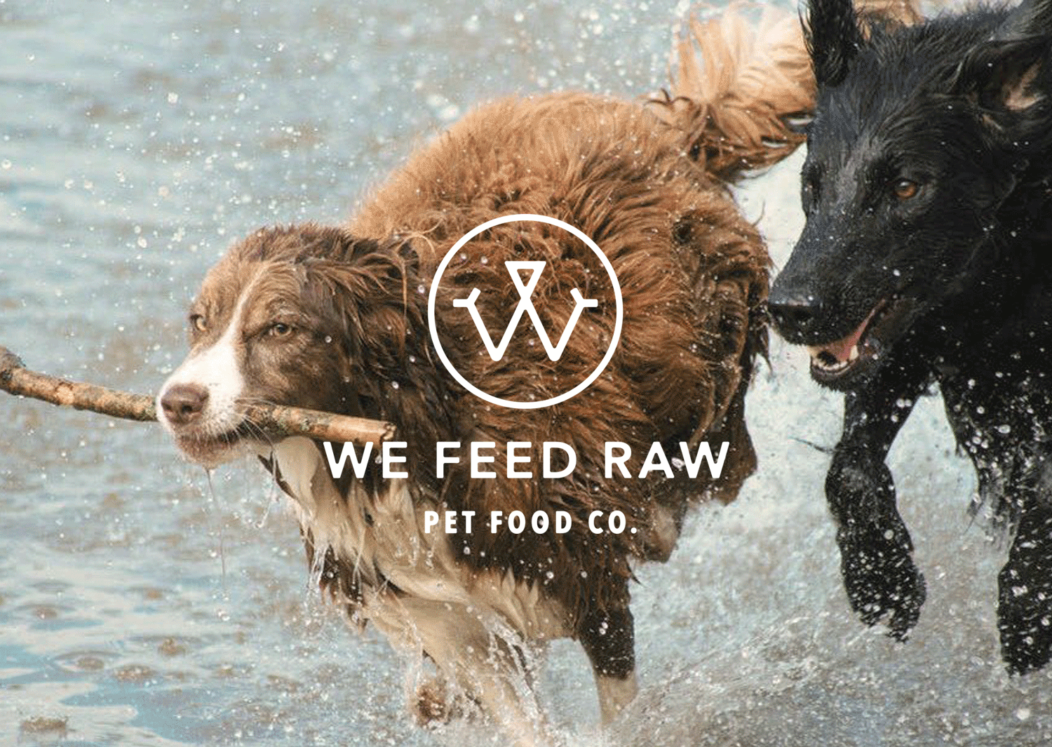 We Feed Raw